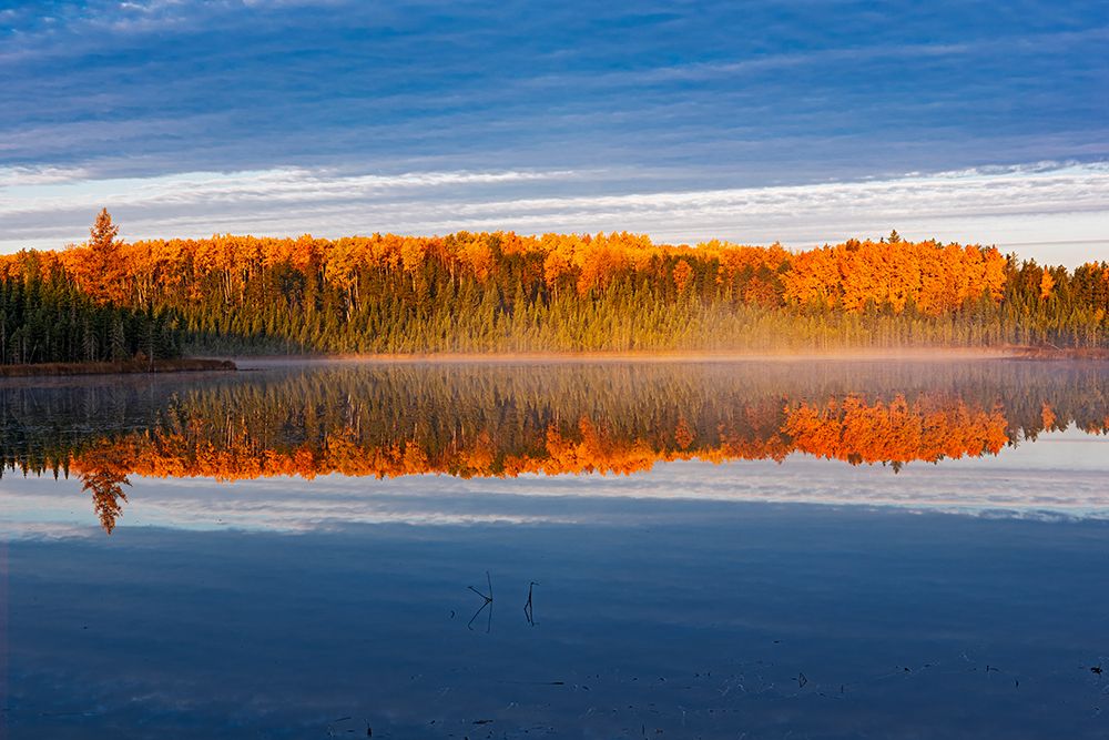 Canada- Manitoba- Duck Mountain Provincial Park. Morning fog on lake in autumn. art print by Jaynes Gallery for $57.95 CAD